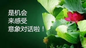 8月20日—26日意象對(duì)話公益體驗(yàn)周